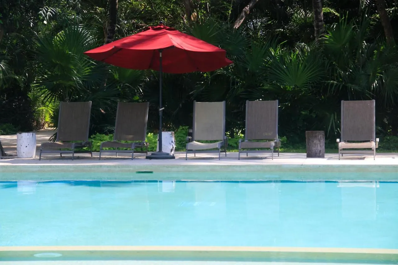 Nick Price Luxury 2 Bedroom Apartment By Spot Rentals Πλάγια Ντελ Κάρμεν Μεξικό